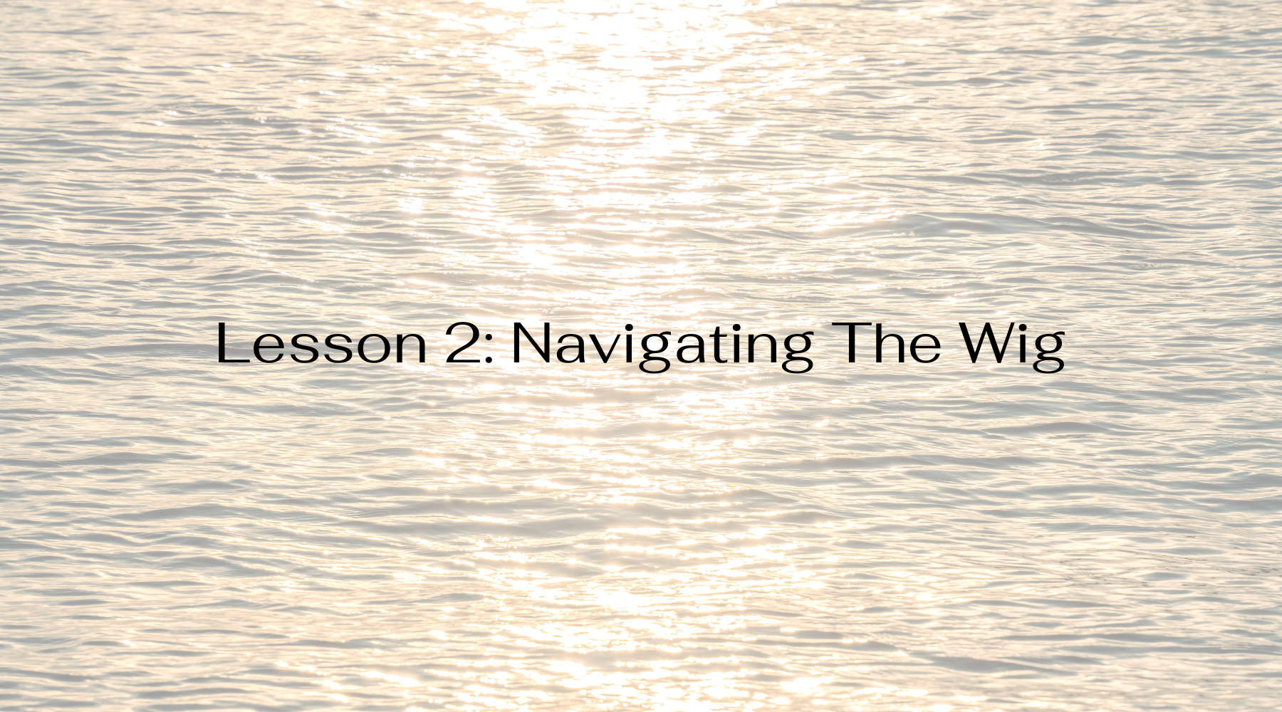 Lesson 2: Navigating The Wig | Wig Mastery