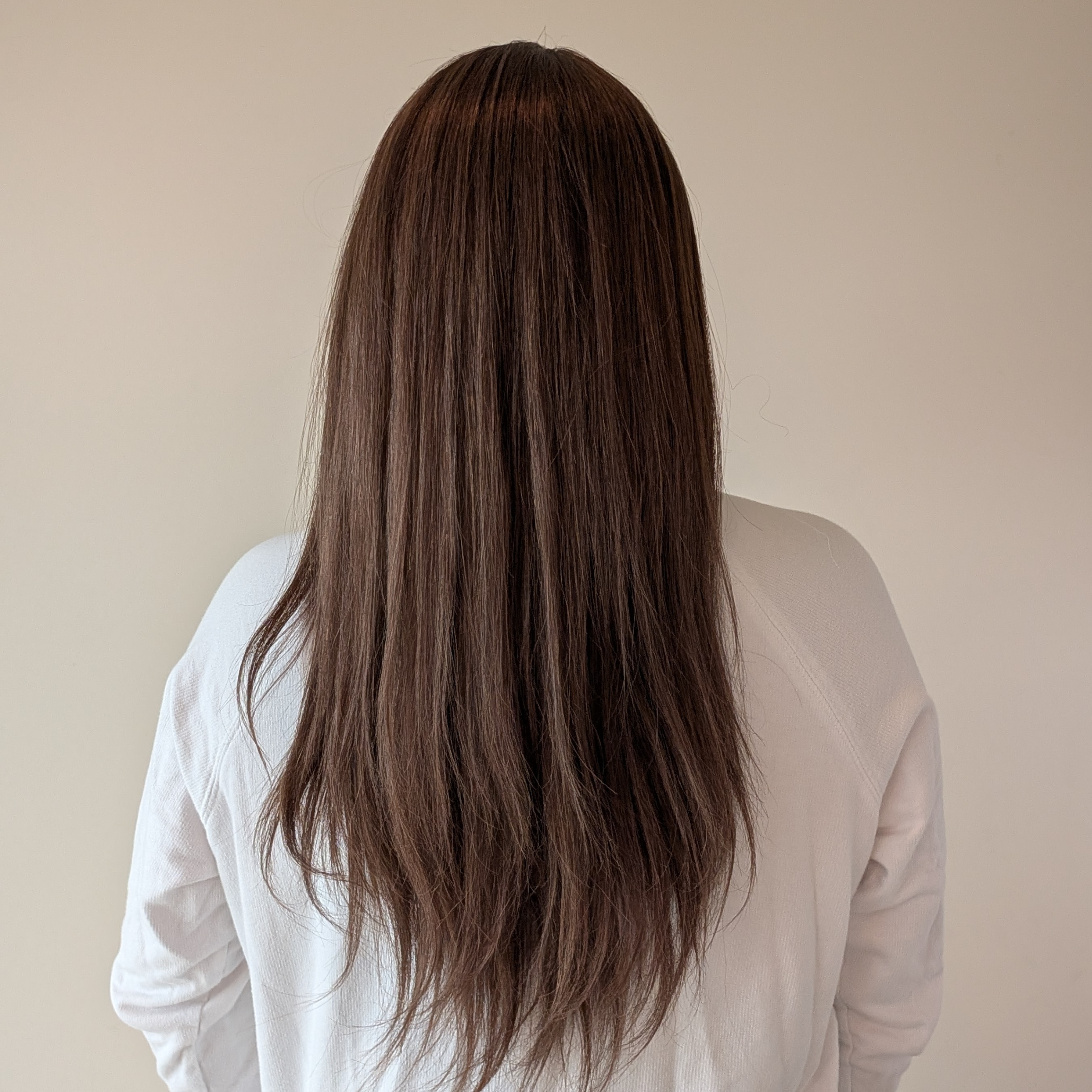 long wig, medium brown with blonde highlights, human hair