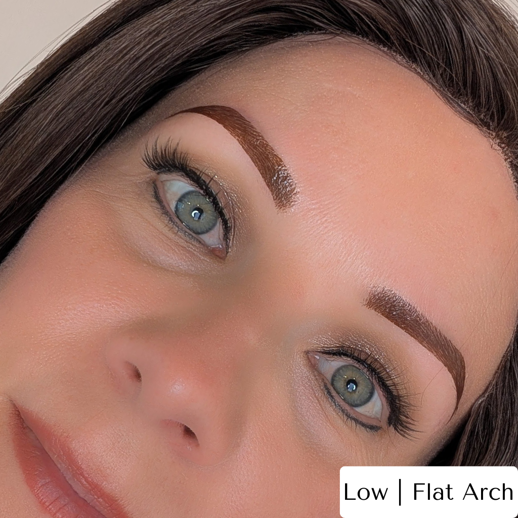 Temporary Eyebrow Tattoos Flat or Low Arch Dark Brown Closeup