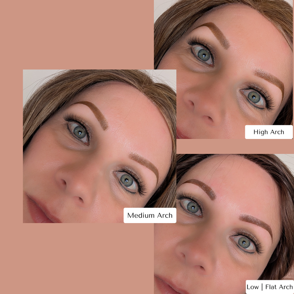 Temporary Eyebrow Tattoos Medium Brow