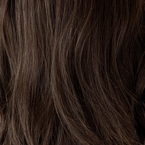 Dark Brown with Blonde Highlights