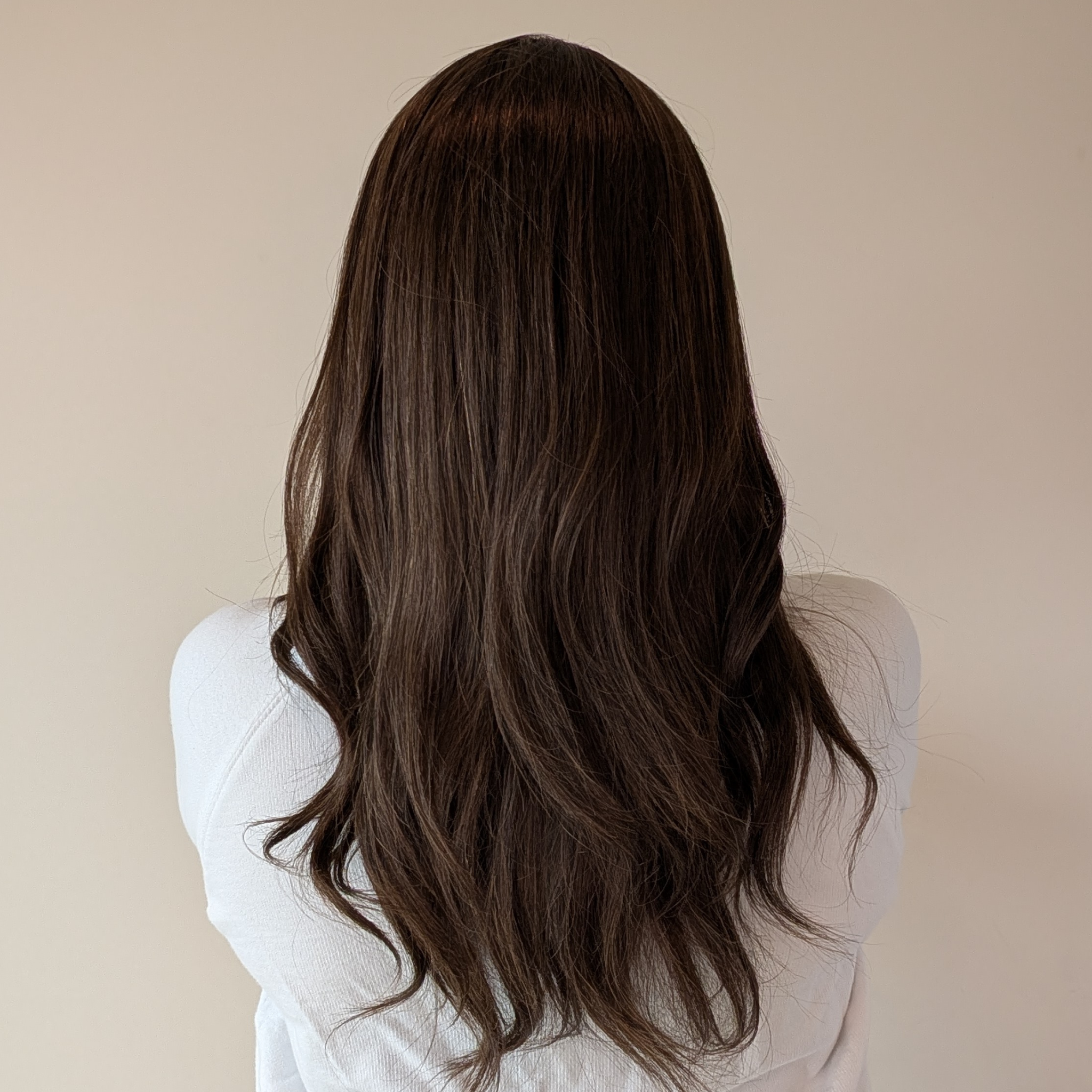 long wig, dark brown with blonde highlights, human hair